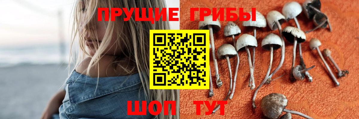 Псилоцибиновые грибы Cubensis  Вход с VPN  сколько стоит  Туймазы 